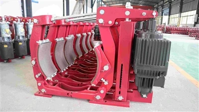 Replacement of industrial brake seals